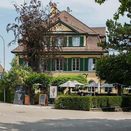 Guest House Dieci Allo Zoo Zürich Kültér fotó